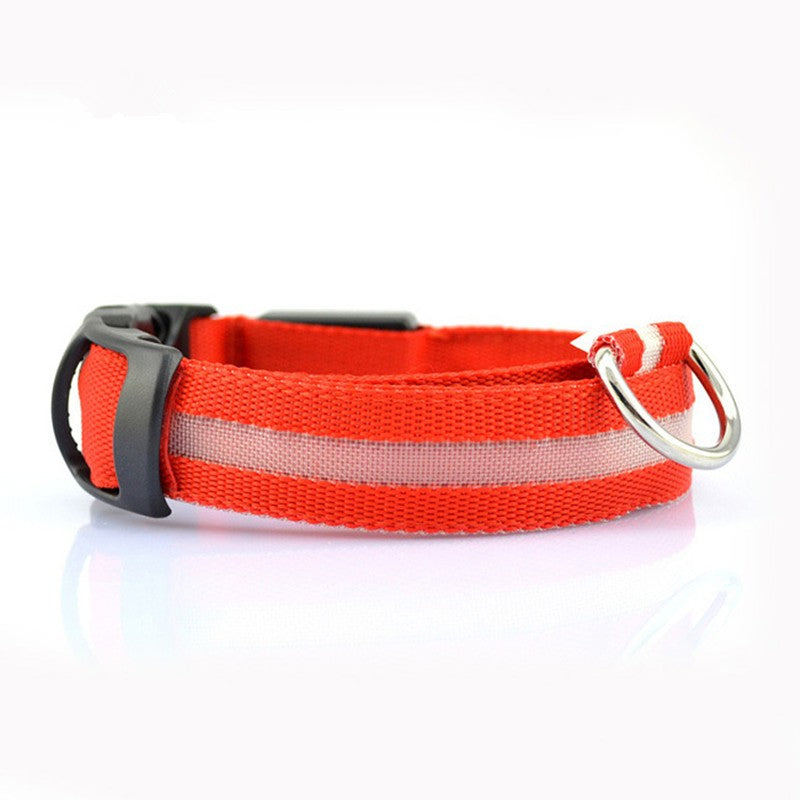 Collier LED en nylon pour chiens