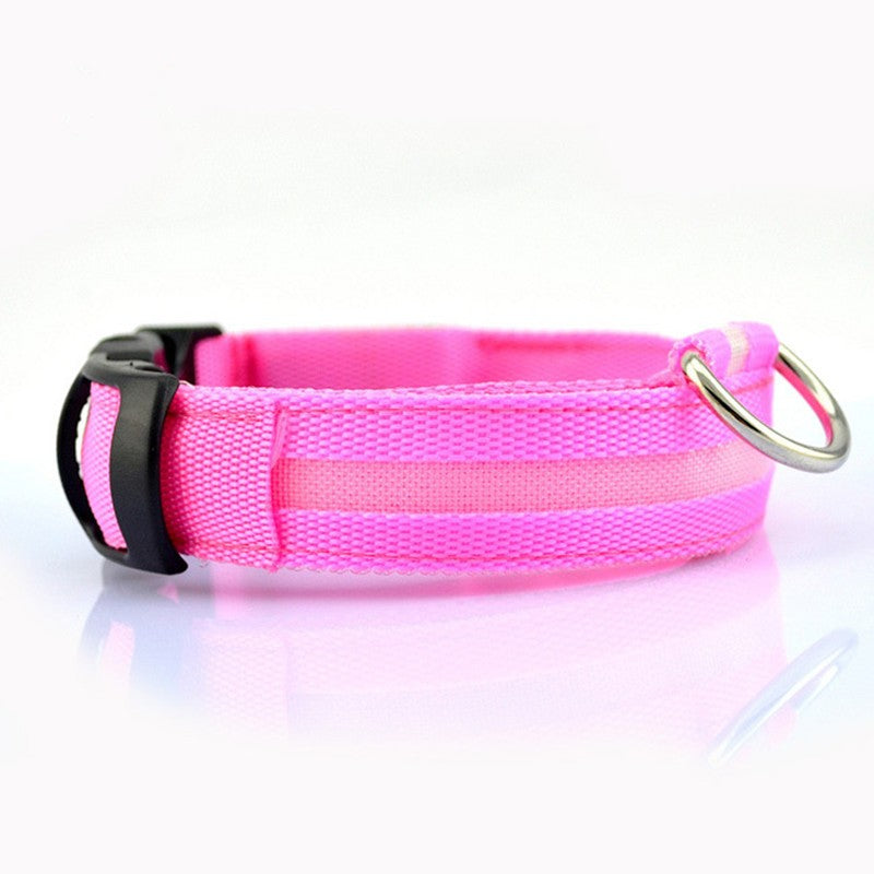 Collier LED en nylon pour chiens