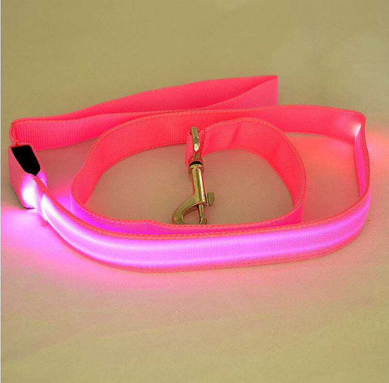 Laisse LED pour chiens