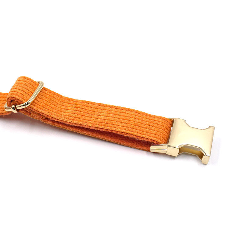 Collier design en velours pour chiens