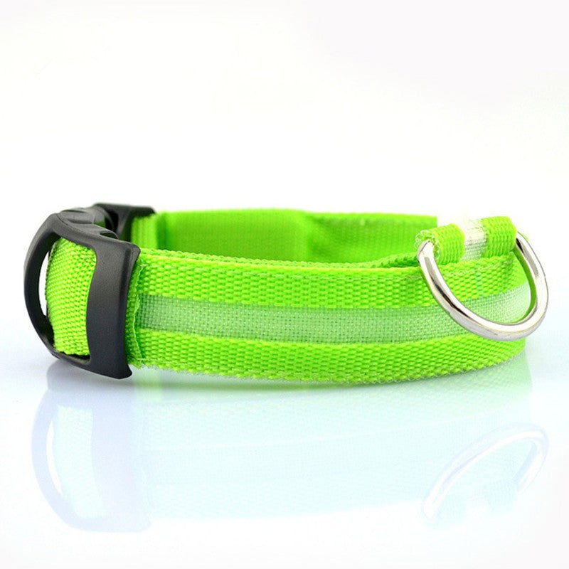 Collier LED en nylon pour chiens