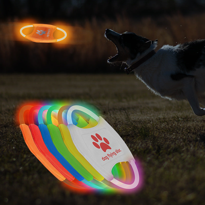 Frisbee lumineux pour chien