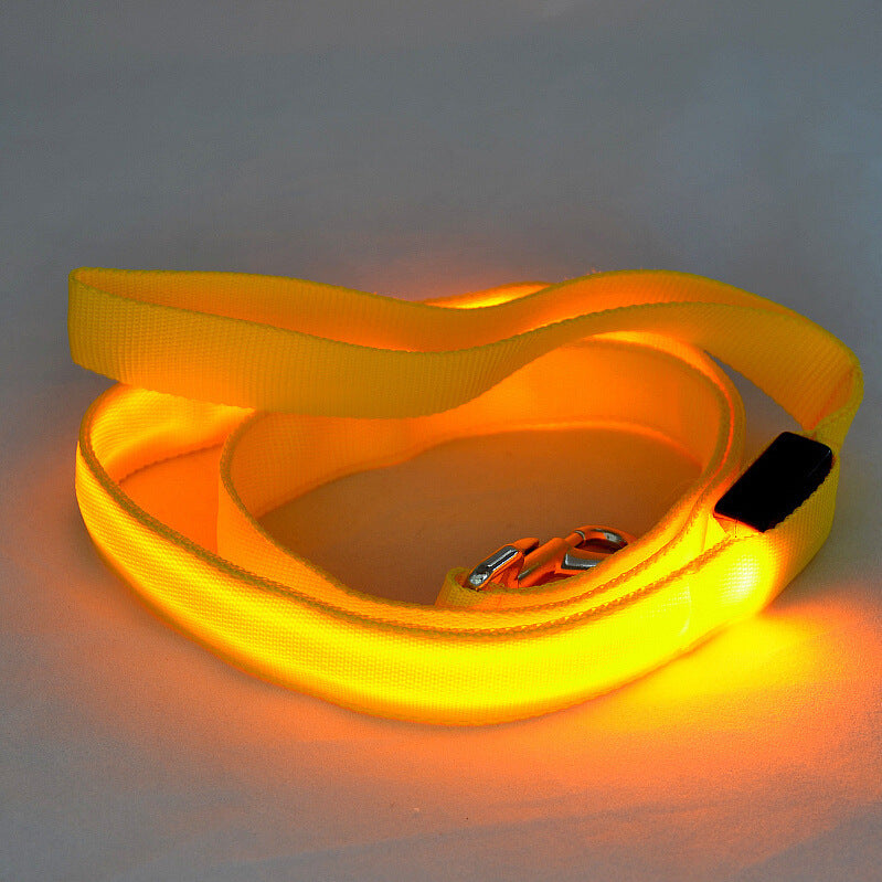 Laisse LED pour chiens