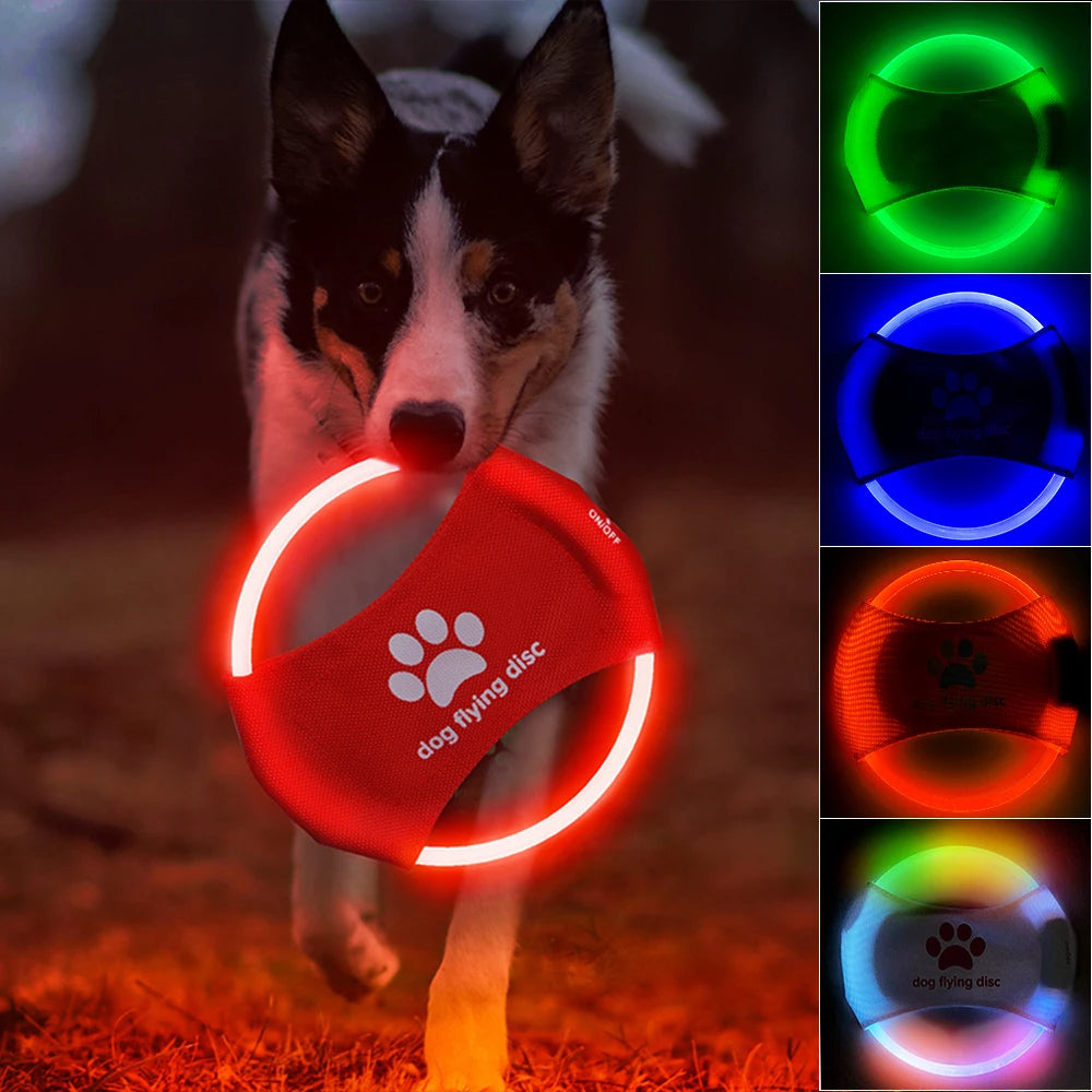 Frisbee lumineux pour chien