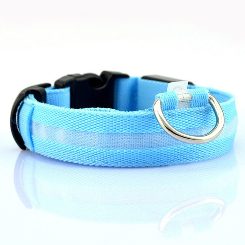 Collier LED en nylon pour chiens
