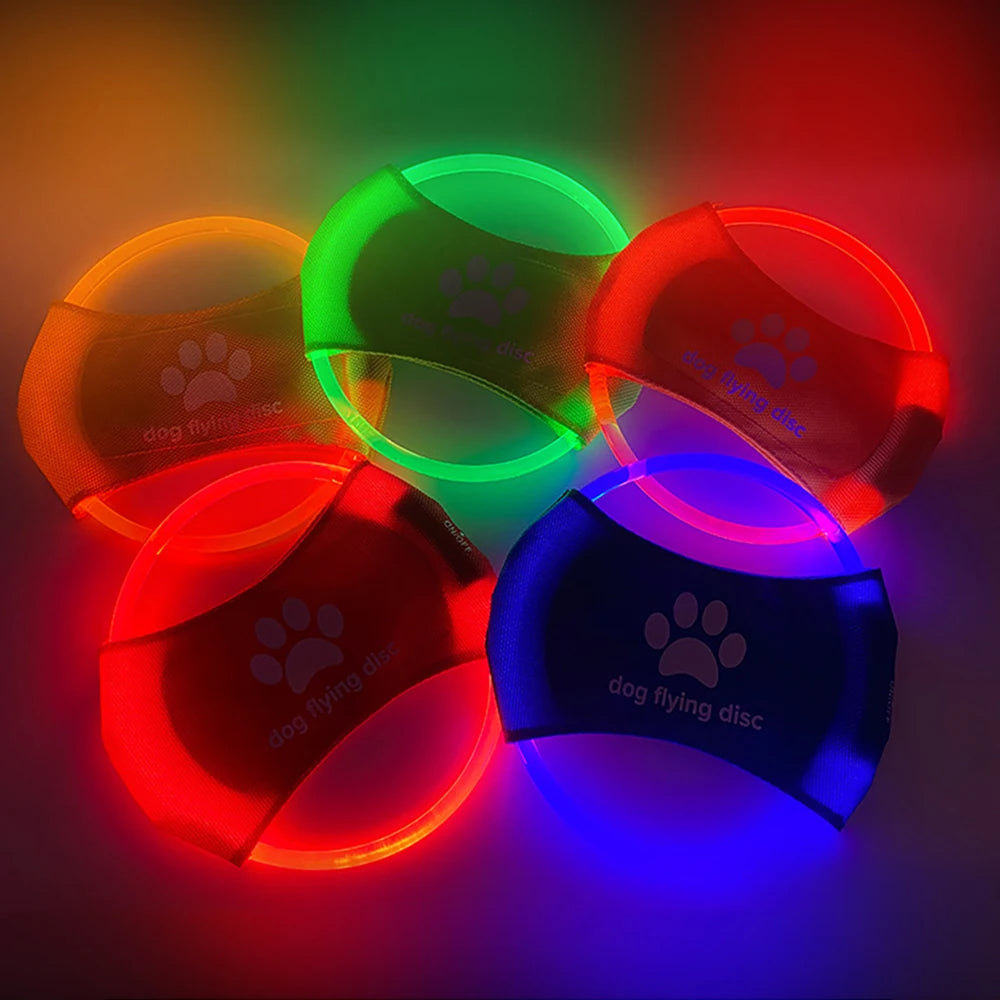 Frisbee lumineux pour chien