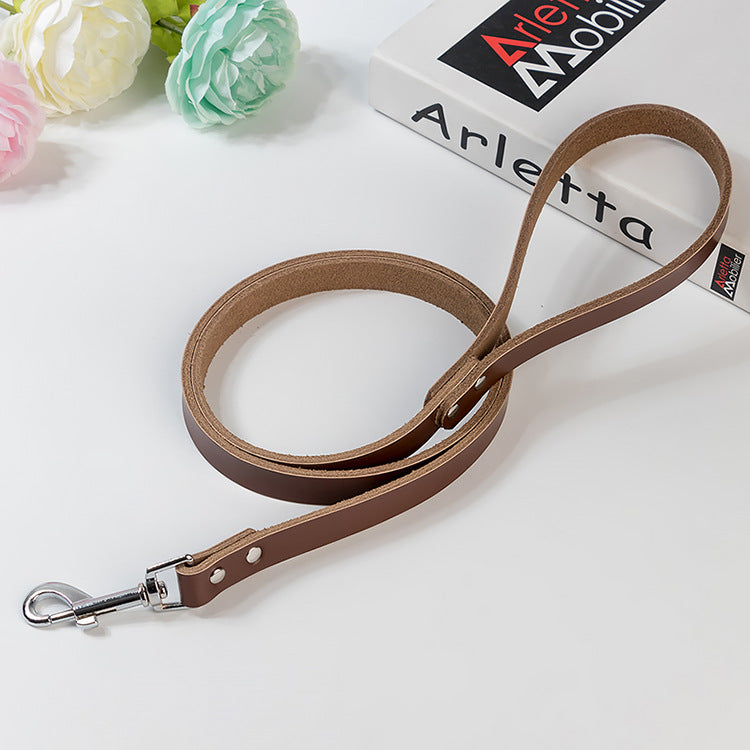 Laisse en cuir pour chiens