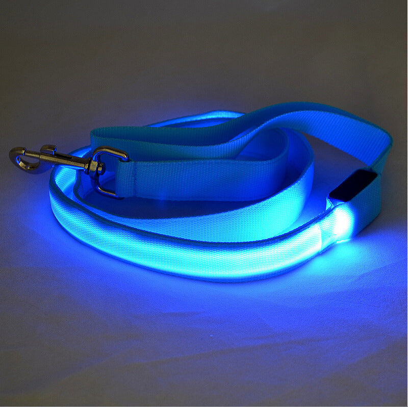 Laisse LED pour chiens