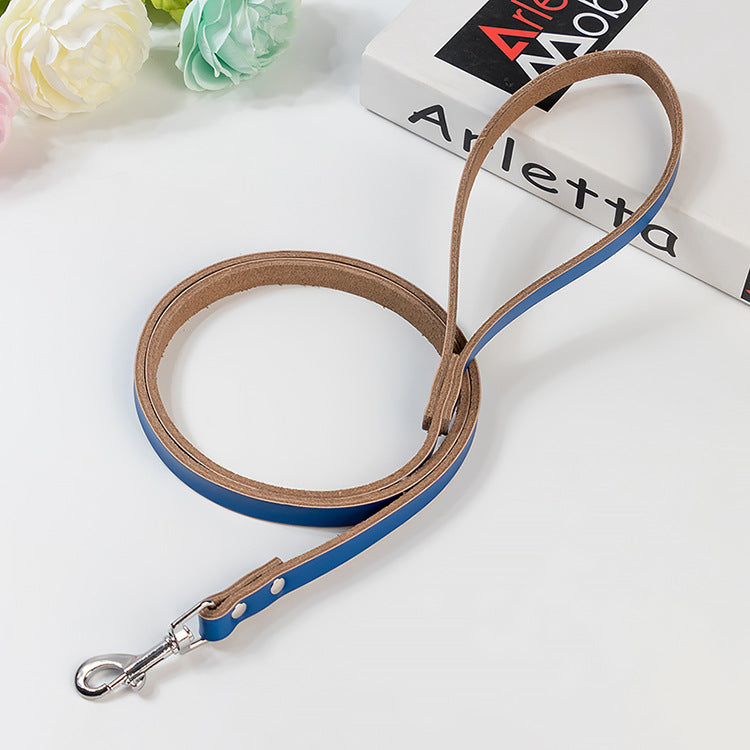 Laisse en cuir pour chiens